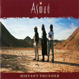 Album cover of Distant Thunder