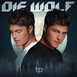 Album cover of Die Wolf