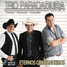 Album cover of Eternos Companheiros