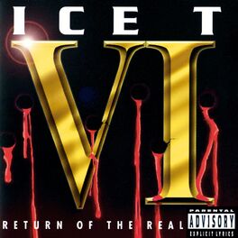 Album cover of Ice T VI: Return Of The Real