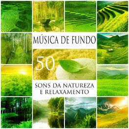 Album cover of 50 Música de Fundo: Sons da Natureza e Relaxamento, Música Ambiente para Dormir, Meditação, Yoga Pré-Natal, Pilates e Tai Chi, Som