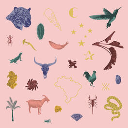 Album cover of Delirio de um Romance a Céu Aberto