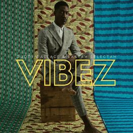 Album cover of Vibez
