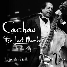 Album cover of The Last Mambo
