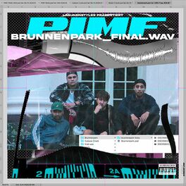 Album cover of Brunnenpark