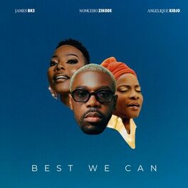Album cover of Best We Can