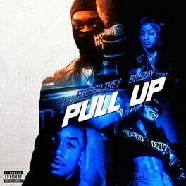 Album cover of Pull Up (feat. Brezay)