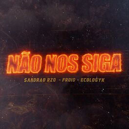 Album cover of Não nos Siga