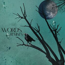 Album cover of Words - Remixes