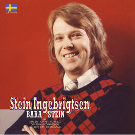 Album cover of Bara Stein