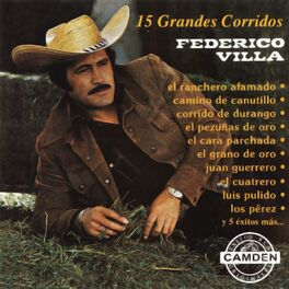 Album cover of 15 Grandes Corridos - Federico Villa