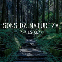 Album cover of Sons da Natureza para Estudar