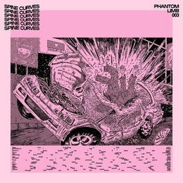 Album cover of Spine Curves
