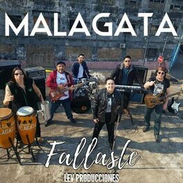 Album cover of Fallaste