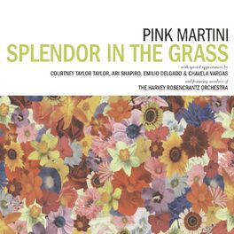 Album cover of Splendor in the Grass