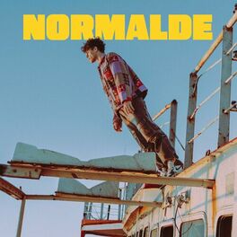Album cover of Normalde