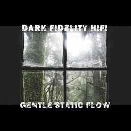 Album cover of gentle static flow
