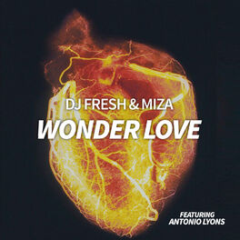 Album cover of Wonder Love