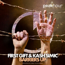 Album cover of Barriers Up