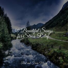 Album cover of 50 Beautiful Songs for Stress Relief