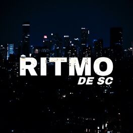 Album cover of Fluxo Que Elas Gostam