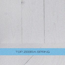 Album cover of TOP Zebra Spring