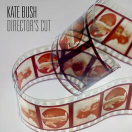 Album cover of Director's Cut