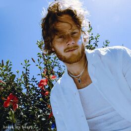 Album cover of break my heart