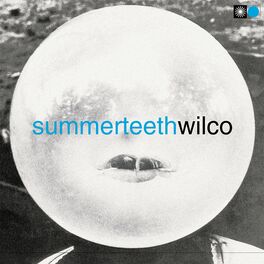 Album cover of Summerteeth