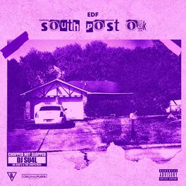 Album cover of South Post Oak: Chopped Not Slopped