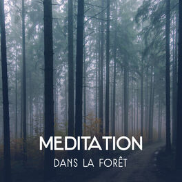 Album picture of Meditation dans la forêt - Musique de relaxation profonde pour détente, Sons de la nature, Chant des oiseaux, Rivière coulante, Br