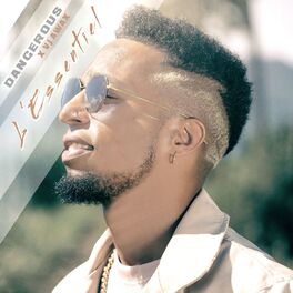 Album cover of L'essentiel