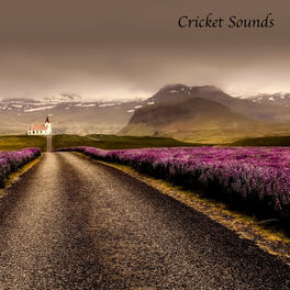 Album cover of Cricket Sounds