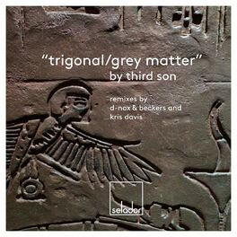 Album cover of Trigonal / Grey Matter