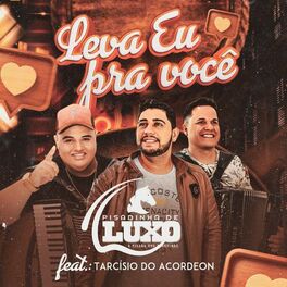 Album cover of Leva eu pra você