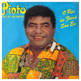 Album cover of O Rei do Forró Sou Eu
