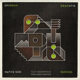 Album cover of Native Son Remixes