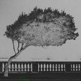 Album cover of Quem Será?