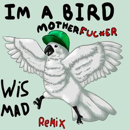Album cover of I'm a Bird Motherfucker (Remix)