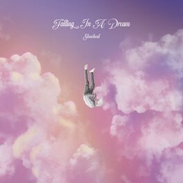 Album cover of Falling In A Dream