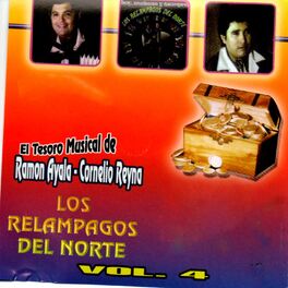 Album cover of 20 Éxitos Originales, Vol. 4
