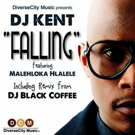 Album cover of Falling (featuring Malehloka Hlalele)