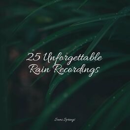 Album cover of 25 Relaxing Rain Sounds for Sleep