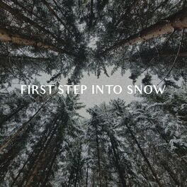 Album cover of First Step Into Snow