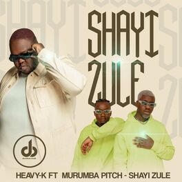 Album cover of Shayi Zule