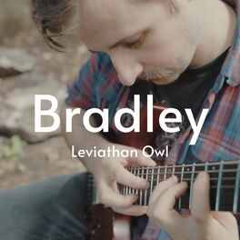 Album cover of Bradley (feat. Blumen)