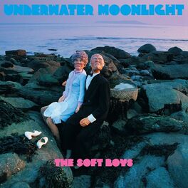 Album cover of Underwater Moonlight