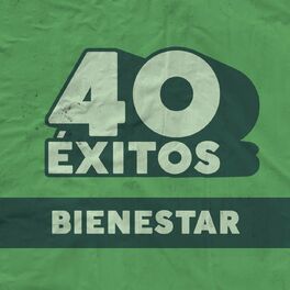 Album cover of 40 Éxitos: Bienestar