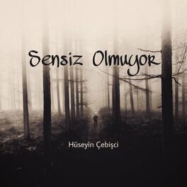 Album cover of Sensiz Olmuyor