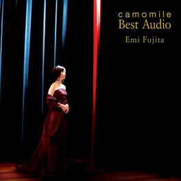 Album cover of Camomile Best Audio